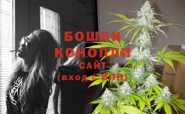гашик Баксан